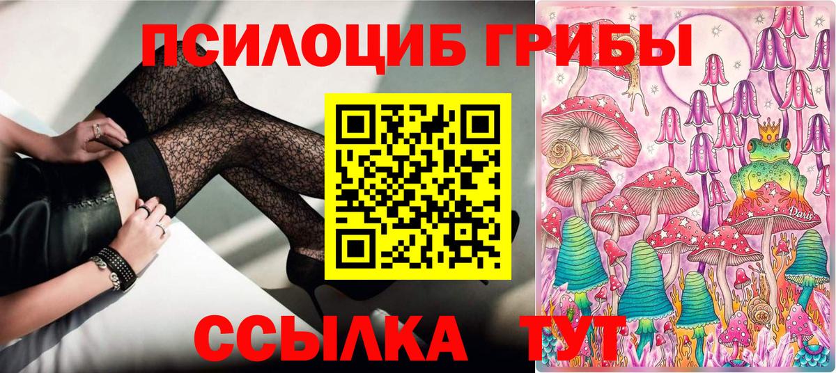 Псилоцибиновые грибы Psilocybe Карачаевск